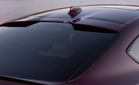 2020 BMW X6 M Competition (Color: Ametrine Metallic; US-Spec) Detail Wallpapers 450x275 (96)