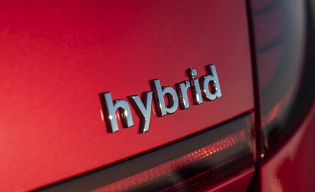 2020 Hyundai Sonata Hybrid Badge Wallpapers 450x275 (6)