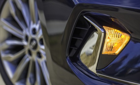 2020 Kia Cadenza Detail Wallpapers 450x275 (25)
