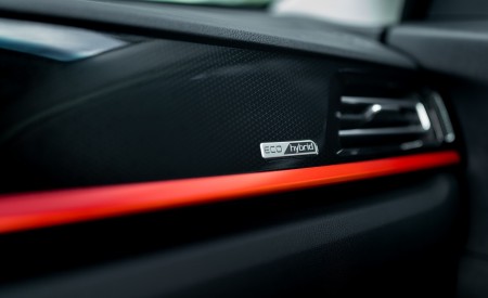 2020 Kia Niro Hybrid Interior Detail Wallpapers 450x275 (55)