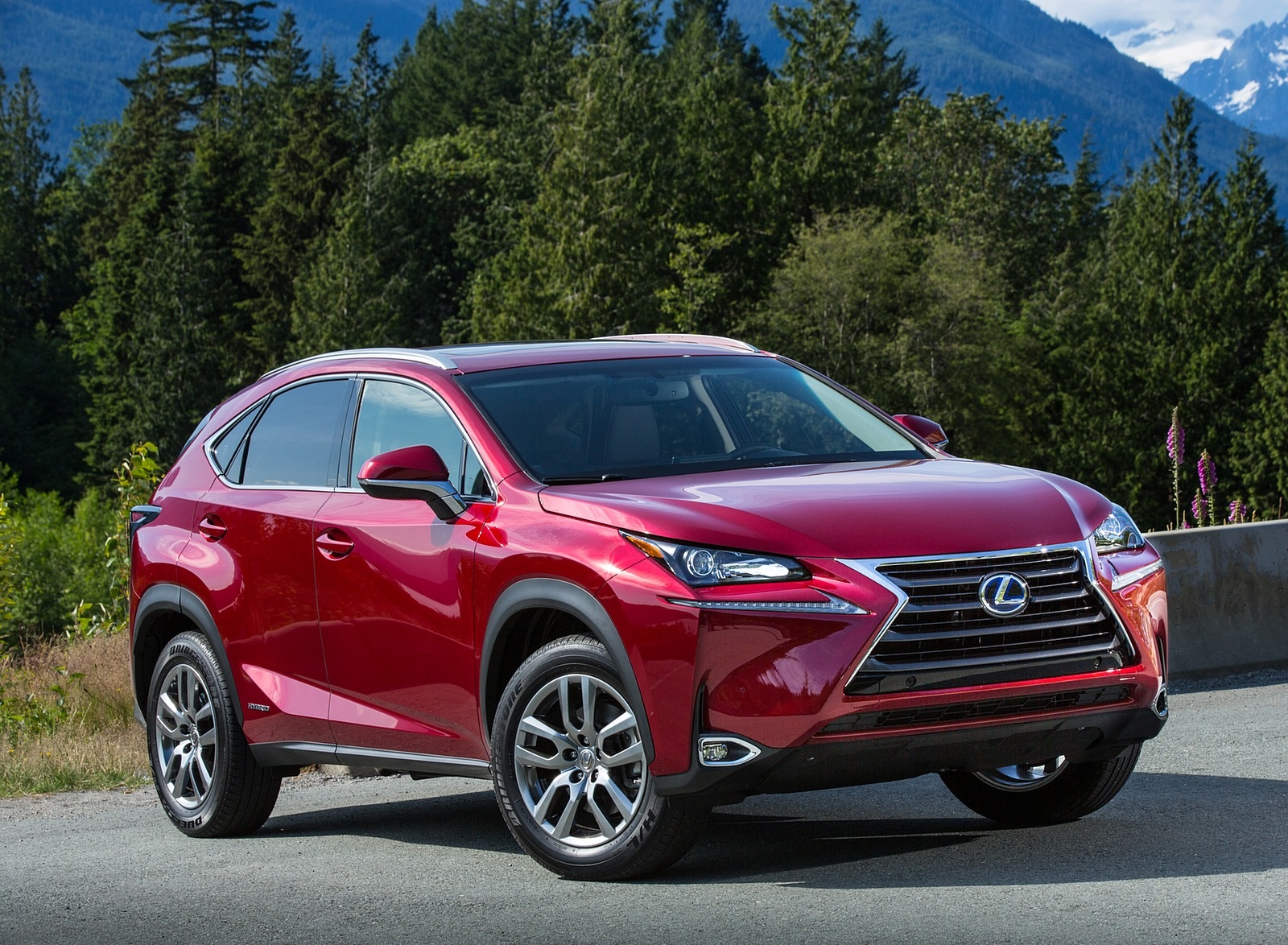 2020 Lexus NX 300h Front Three-Quarter Wallpapers (4)