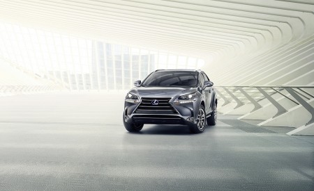 2020 Lexus NX 300h Front Wallpapers 450x275 (23)