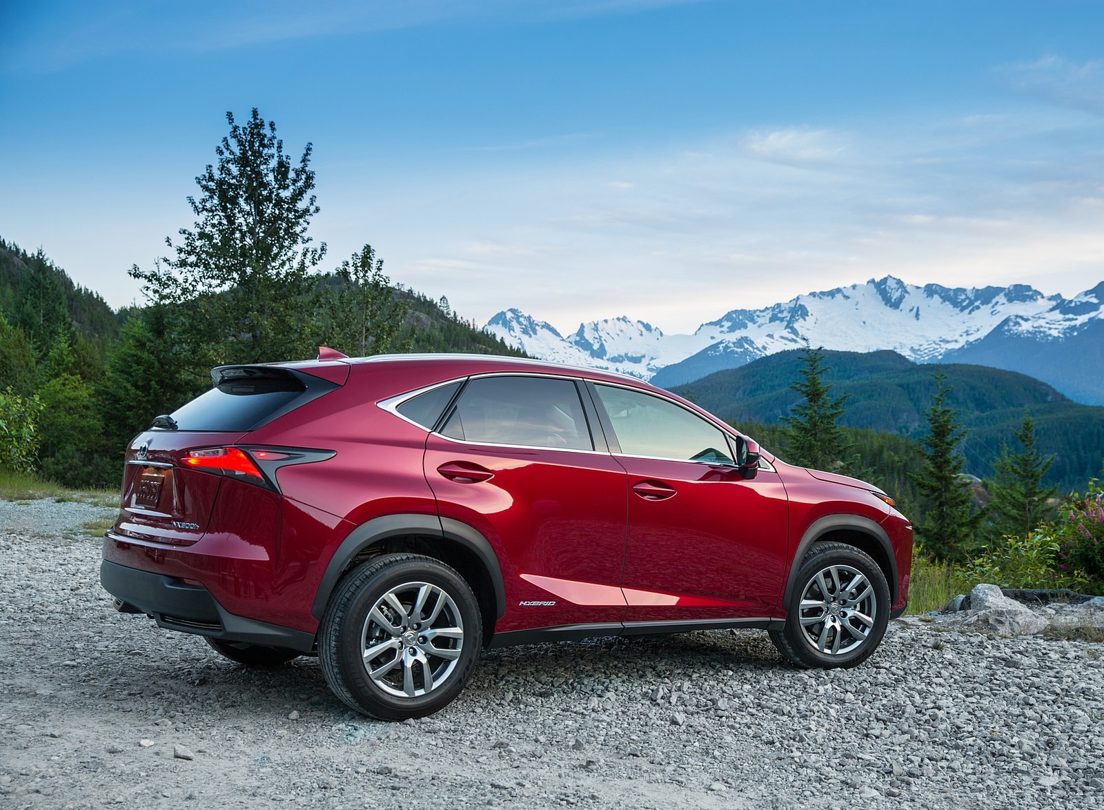 2020 Lexus NX 300h Rear Three-Quarter Wallpapers (6)