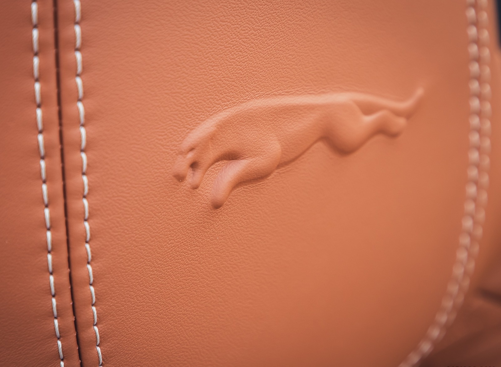 2021 Jaguar F-TYPE R-Dynamic P450 Convertible RWD (Color: Fuji White) Interior Seats Wallpapers #25 of 30