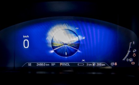 2020 Ford Kuga Plug-In Hybrid Vignale Digital Instrument Cluster Wallpapers 450x275 (22)