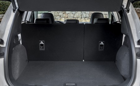 2020 Ford Kuga Plug-In Hybrid Vignale Trunk Wallpapers 450x275 (30)
