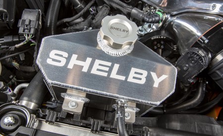 2020 Ford Mustang Carroll Shelby Signature Series Engine Wallpapers 450x275 (36)