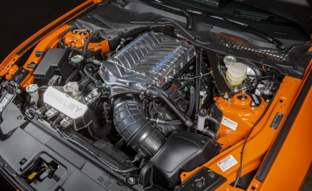 2020 Ford Mustang Carroll Shelby Signature Series Engine Wallpapers 450x275 (33)