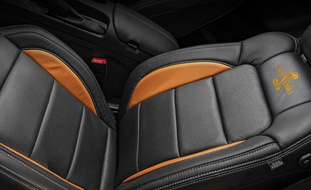 2020 Ford Mustang Shelby Super Snake Bold Edition Interior Seats Wallpapers 450x275 (13)