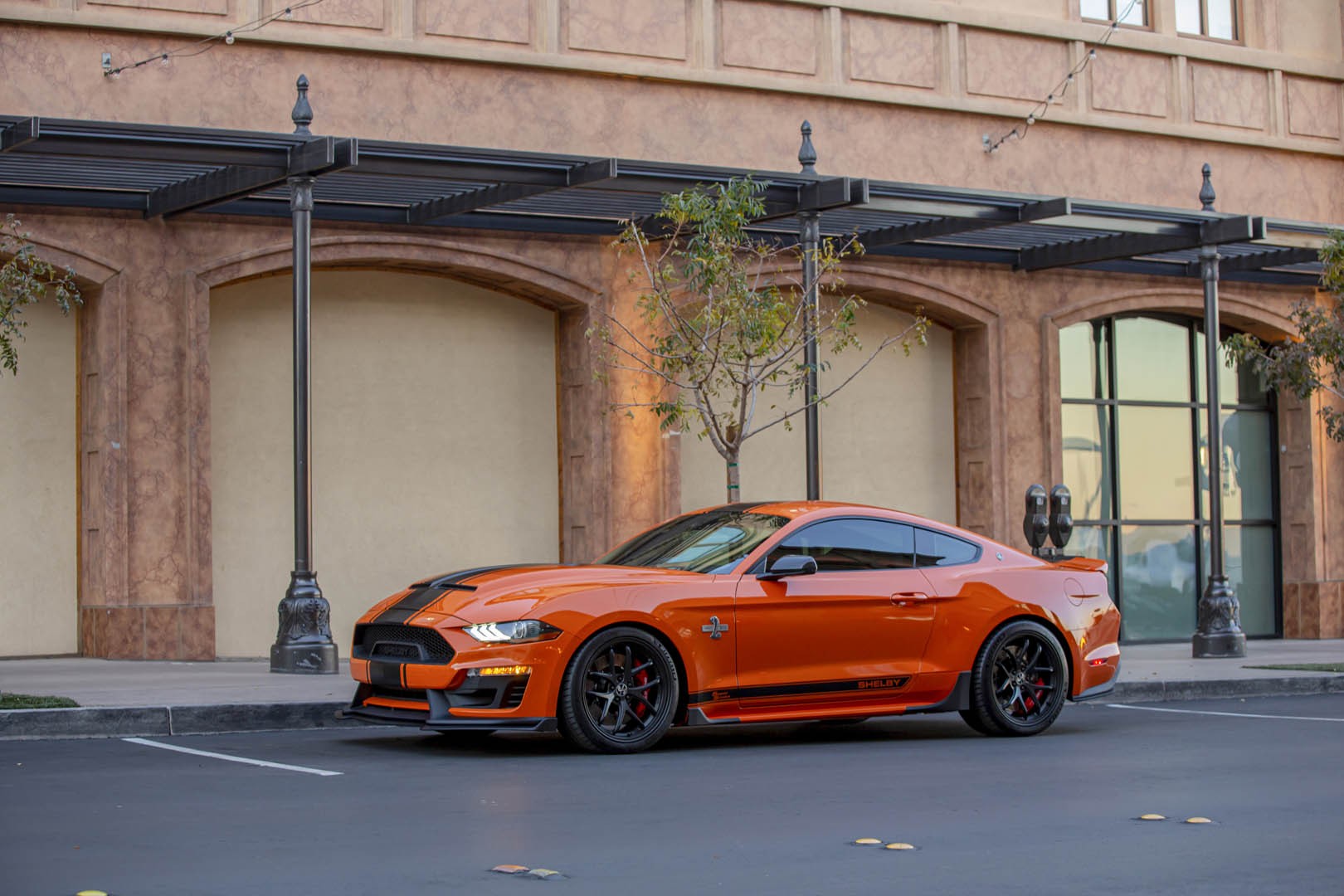 2020 Ford Mustang Shelby Super Snake Bold Edition Side Wallpapers (10)