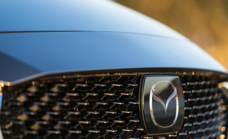 2020 Mazda2 (Color: Machine Grey) Grill Wallpapers 450x275 (163)