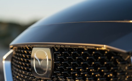 2020 Mazda2 (Color: Machine Grey) Grill Wallpapers 450x275 (162)