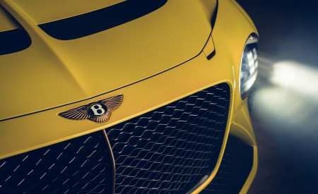 2021 Bentley Mulliner Bacalar Grill Wallpapers 450x275 (10)