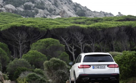 2021 Mercedes-Benz E-Class All-Terrain Line Avantgarde (Color: Designo Diamond White Bright) Rear Wallpapers 450x275 (24)