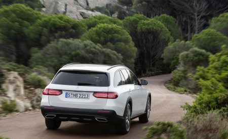 2021 Mercedes-Benz E-Class All-Terrain Line Avantgarde (Color: Designo Diamond White Bright) Rear Wallpapers 450x275 (18)