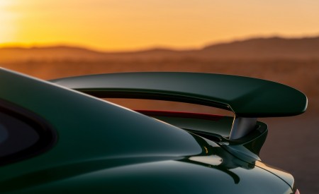 2021 Porsche 911 Turbo S Coupe (Color: Python Green) Spoiler Wallpapers 450x275 (33)