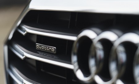2020 Audi A8 L 60 TFSI e quattro (Plug-In Hybrid; UK-Spec) Grill Wallpapers 450x275 (56)