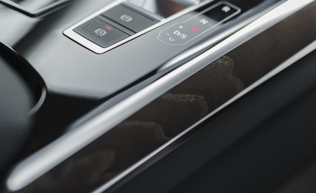 2020 Audi A8 L 60 TFSI e quattro (Plug-In Hybrid; UK-Spec) Interior Detail Wallpapers 450x275 (107)