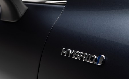 2021 Toyota Venza Badge Wallpapers 450x275 (53)