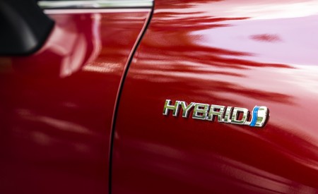 2021 Toyota Venza Hybrid LE Badge Wallpapers 450x275 (22)