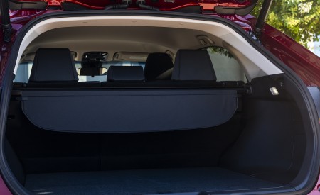 2021 Toyota Venza Hybrid LE Trunk Wallpapers 450x275 (40)