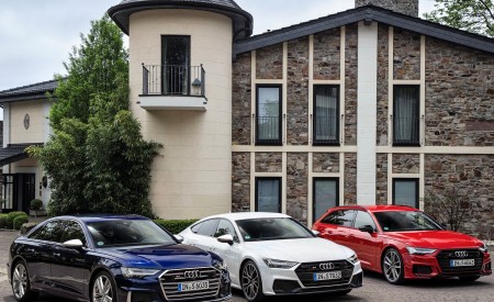2020 Audi S6 Avant TDI and Audi S TDI Family Wallpapers  450x275 (60)