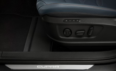 2020 CUPRA Ateca Door Sill Wallpapers 450x275 (14)