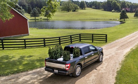 2021 Ford F-150 Limited (Color: Smoked Quartz) Rear Three-Quarter Wallpapers 450x275 (13)