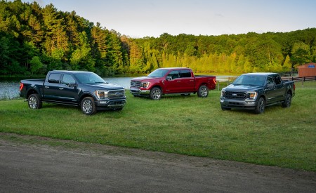 2021 Ford F-150 Wallpapers 450x275 (26)