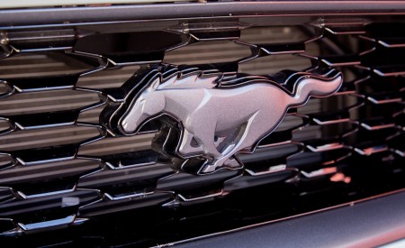 2021 Ford Mustang Mach 1 Badge Wallpapers 450x275 (25)