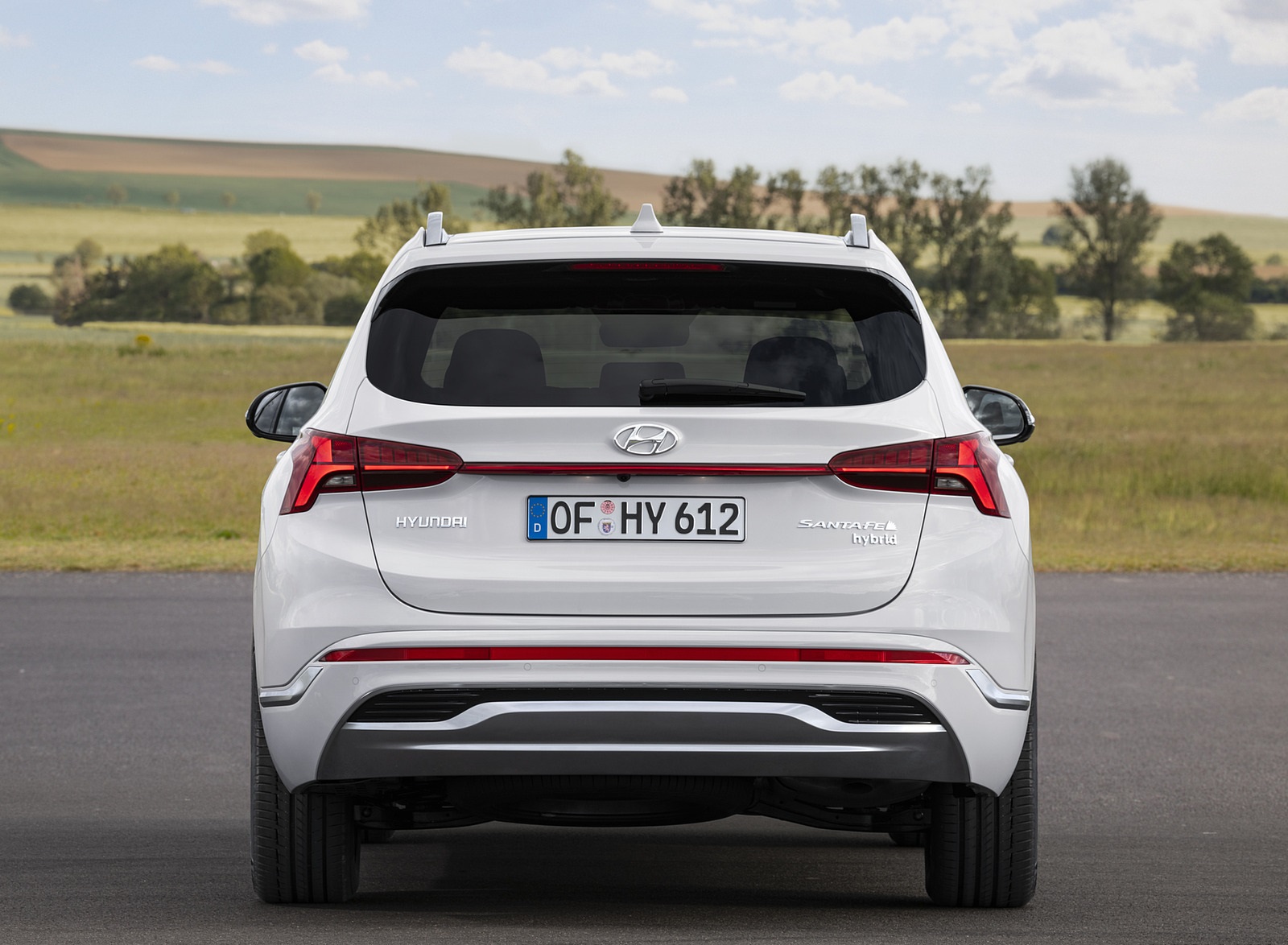 2021 Hyundai Santa Fe Rear Wallpapers (9)