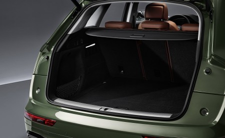 2021 Audi Q5 Trunk Wallpapers 450x275 (61)