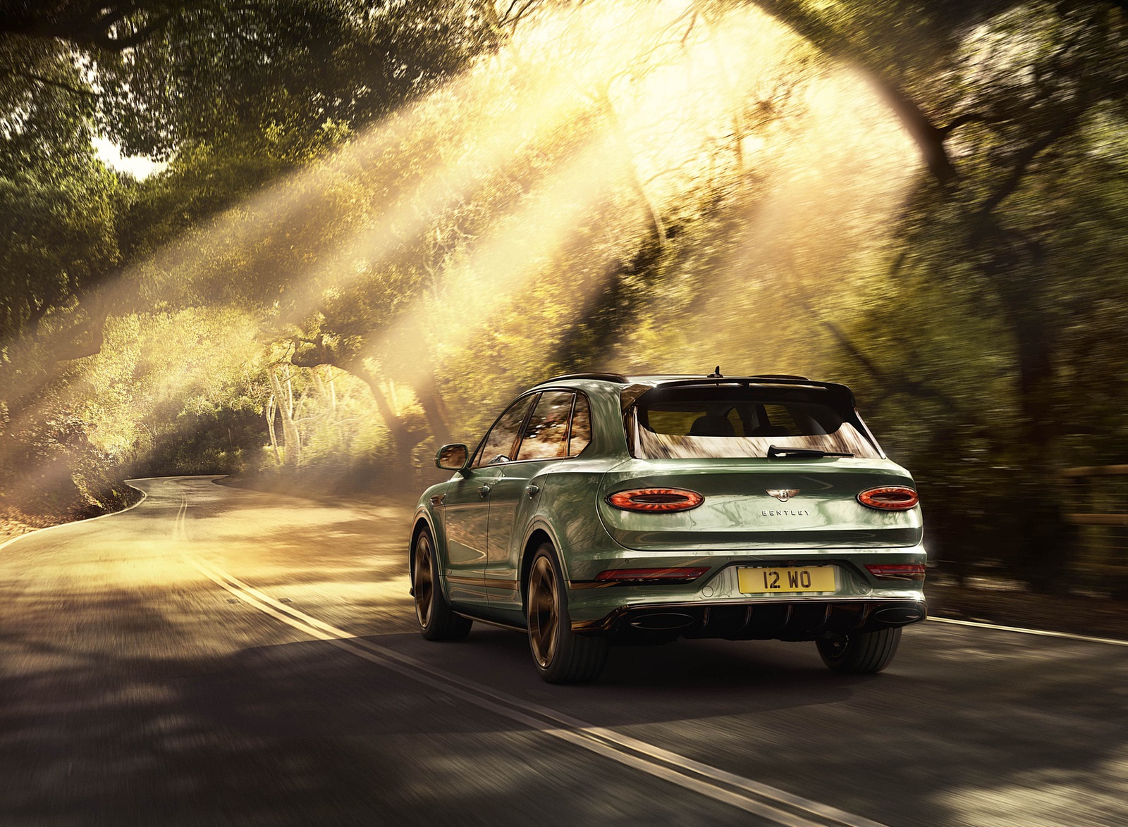 2021 Bentley Bentayga V8 (Color: Alpine Green) Rear Wallpapers (2)