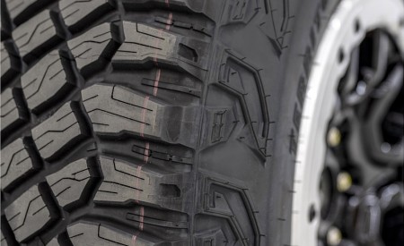 2021 Ford Bronco Detail Wallpapers  450x275 (35)