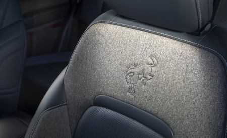 2021 Ford Bronco Sport Interior Seats Wallpapers 450x275 (36)