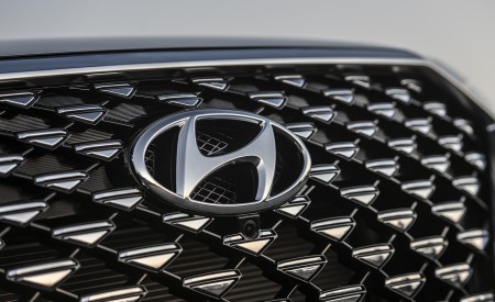 2021 Hyundai Palisade Grill Wallpapers 450x275 (20)
