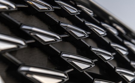 2021 Hyundai Palisade Grill Wallpapers 450x275 (19)