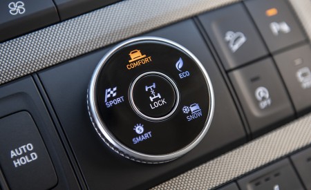 2021 Hyundai Palisade Interior Detail Wallpapers 450x275 (47)