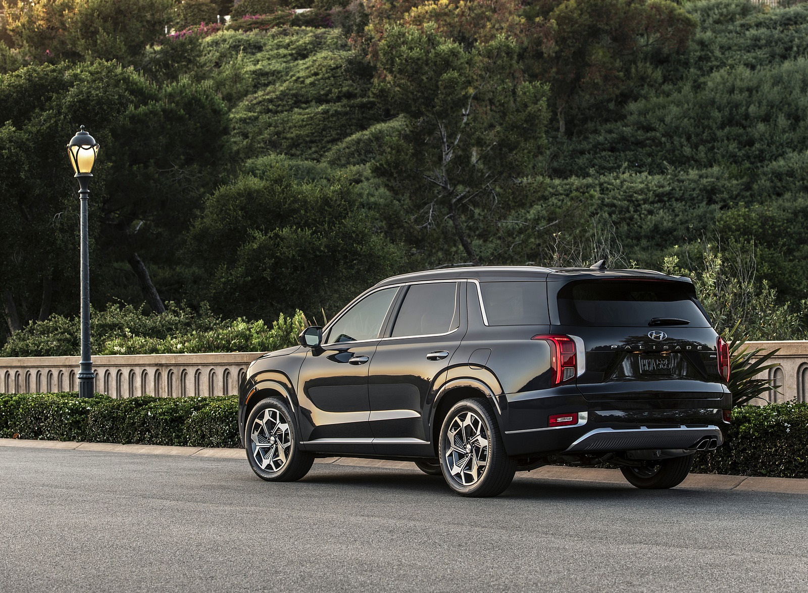 2021 Hyundai Palisade Rear Three-Quarter Wallpapers (11)