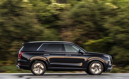 2021 Hyundai Palisade Side Wallpapers 450x275 (5)