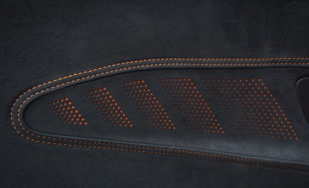 2021 Mercedes-AMG GT Black Series Interior Detail Wallpapers  450x275 (104)