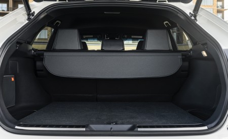 2021 Toyota Venza Hybrid XLE Trunk Wallpapers 450x275 (35)