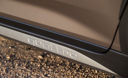 2020 Audi A6 allroad (US-Spec) Detail Wallpapers 450x275 (30)