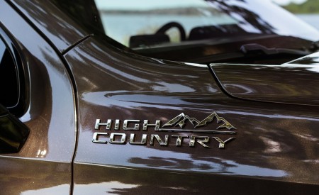 2021 Chevrolet Tahoe High Country Badge Wallpapers 450x275 (17)