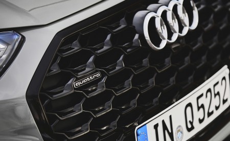 2021 Audi Q5 Sportback (Color: Daytona Grey) Grill Wallpapers 450x275 (39)