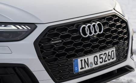 2021 Audi Q5 Sportback (Color: Glacier White) Grill Wallpapers 450x275 (22)