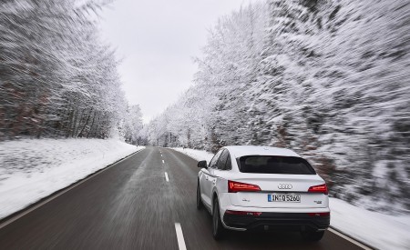 2021 Audi Q5 Sportback (Color: Glacier White) Rear Wallpapers  450x275 (6)