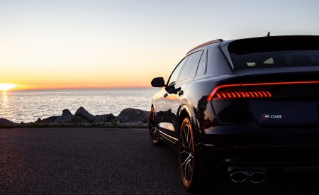 2021 Audi SQ8 (US-Spec) Detail Wallpapers 450x275 (12)