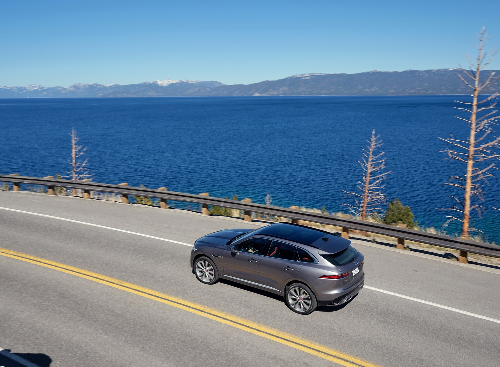 2021 Jaguar F-PACE Rear Three-Quarter Wallpapers  (12)