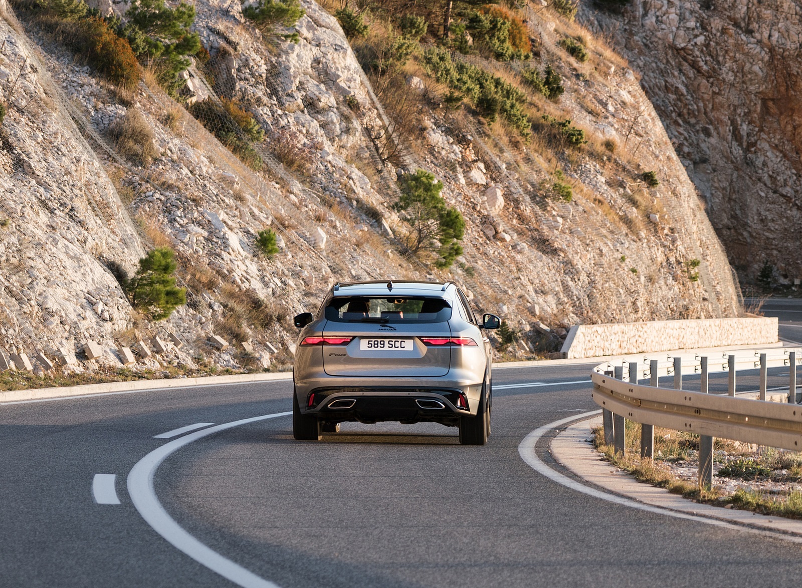 2021 Jaguar F-PACE Rear Wallpapers  (11)